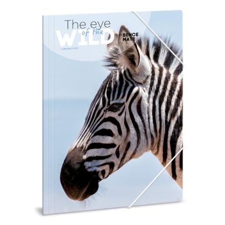 Ars Una Máté Bence the Eyes of the Wild - Zebra A/4 gumis dosszié