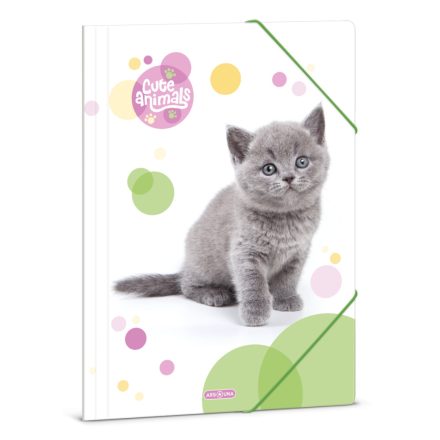 Ars Una Cuki állatok-Brit rövidszőrű macska A/4 gumis dosszié