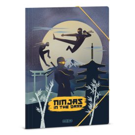 Ars Una Ninjas in the dark A/4 gumis dosszié
