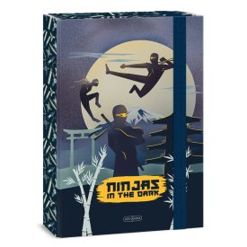 Ars Una Ninjas in the dark A/4 füzetbox