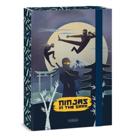 Ars Una Ninjas in the dark A/4 füzetbox