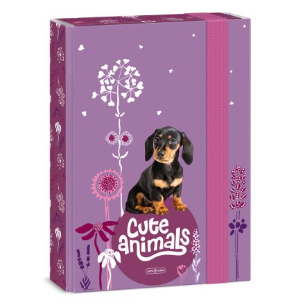 Ars Una Cute animals-Puppy A/5 füzetbox
