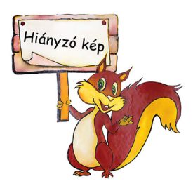 Ars Una T-Rex tisztasági csomag