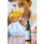 MARNYS CEBIDA FOLYÉKONY MULTIVITAMIN CSEPP